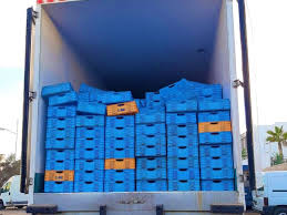 صورة حجز طن و770 كلغ من مخدر “الشيرا” داخل شاحنة للتبريد بأكادير