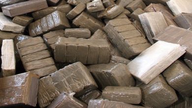 صورة تفكيك شبكة للاتجار الدولي في المخدرات وحجز ما يفوق 3 أطنان من “الحشيش” بالدريوش