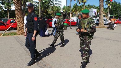 صورة ثقة المغاربة في الجيش والأمن تتجاوز الحكومة والسياسيين