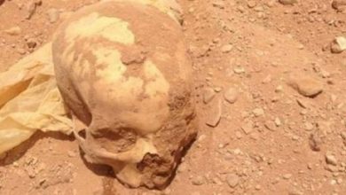 صورة العثور على جمجمة بشرية قرب مدرسة يستنفر الدرك والسلطات المحلية بشيشاوة