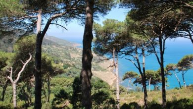 صورة مرصد بيئي يتحرّك ضد ملحقي الضرر بـ”رئة طنجة”