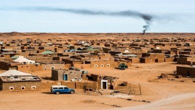 صورة المنصة الدولية للدفاع عن الصحراء المغربية توجه رسالة للأمم المتحدة ومفوضية حقوق الإنسان بشأن “البوليساريو”
