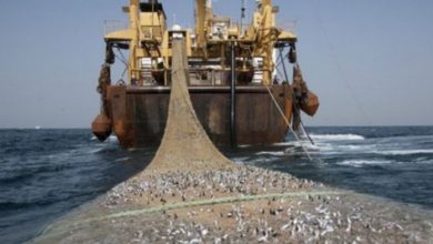 صورة الحكومة توافق على اتفاق التعاون الموقع بين المغرب وروسيا في مجال الصيد البحري