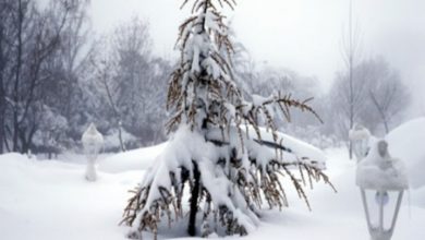 صورة ماطق بالمغرب تكتسي الثوب الأبيض بعد تساقطات ثلجية