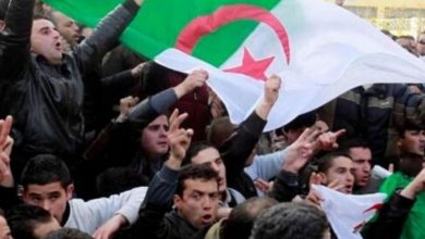 صورة الجزائر.. الأمم المتحدة تطالب بالإفراج الفوري عن جميع معتقلي الحراك