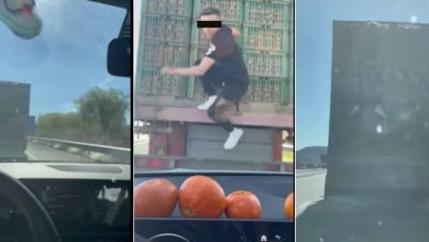 صورة فيديو خطير لـ “ولاد لفشوش” يتسلقون شاحنة لسرقة “الليمون في “لوطوروت” يهز الفايسبوك