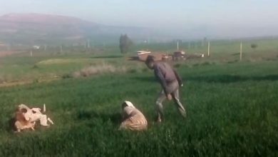 صورة مستعينا بـ4 كلاب.. مغاربة ينددون بفيديو لشخص يضرب سيدة بطريقة همجية