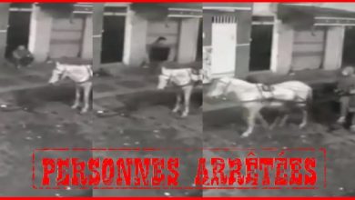 صورة فيديو لسرقة غطاء قناة الصرف الصحي بالشارع يستنفر أمن القنيطرة