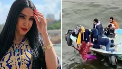 صورة لحظة إنقاذ الفنانة المصرية “روجينا” من الغرق في النيل -فيديو