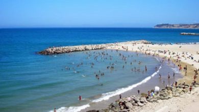 صورة هل سيسمح للمغاربة بالتوجه إلى الشواطئ في فصل الصيف؟.. خبير في الفيروسات يوضح