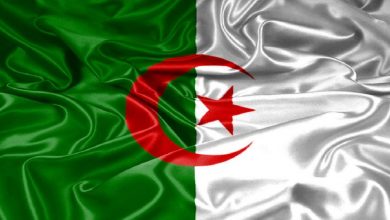 صورة الجزائر.. عدد المعتقلين السياسيين تجاوز عتبة 260 معتقلا