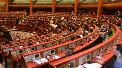 صورة قرار البرلمان الأوروبي ينافي روح وفلسفة الشراكة الوثيقة بين المغرب والاتحاد الأوروبي