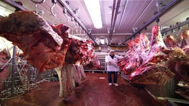 صورة قطاع اللحوم المحولة.. إطلاق “دليل الاستعمالات الصحية الجيدة” المتعلقة بالقطاع