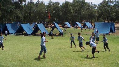 صورة وزارة الفردوس تسمح بإقامة المخيمات الصيفية للأطفال وهذه أبرز الشروط