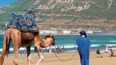 صورة “زور بلادك” التصور الجديد لجذب السياح المغاربة