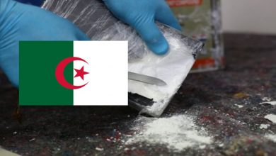 صورة لاعب جزائري ضمن شبكة دولية لتهريب الكوكايين