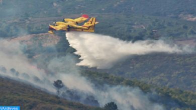 صورة احتواء “شبه تام” لـ”حريق شفشاون” وتضرر 1100 هكتار من الغطاء الغابوي