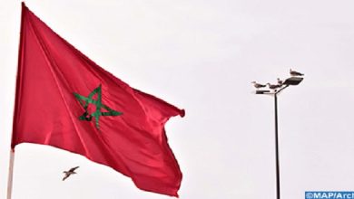صورة المغرب يمكن أن يكون بمثابة “إطار يحقق التكامل” بين أوروبا وإفريقيا