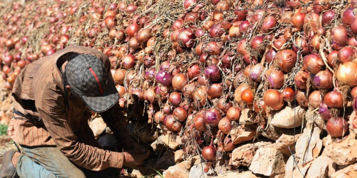 برلماني يطالب الحكومة بالإسراع في تقديم الدعم والإعانات لفلاحي بولمان