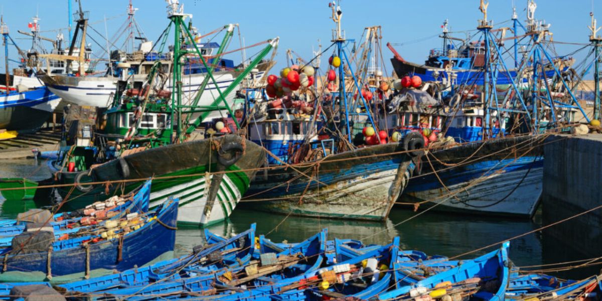 تراجع مفرغات الصيد البحري بميناء طنجة