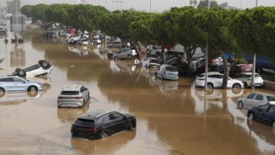 صورة فيضانات فالنسيا.. “مديرة الوقاية المدنية الإسبانية” تعرب عن امتنانها للملك محمد السادس 