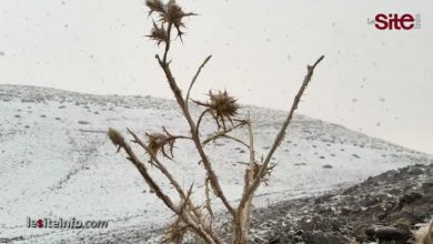 صورة تساقطات ثلجية تضفي جمالا ساحرا على جبال إملشيل-فيديو