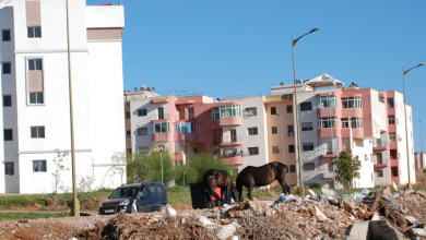 صورة مجلس الحسابات يكشف أسباب تعثر مشاريع المدن الأربعة الجديدة في المغرب